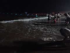 -北戴河东海水浴场