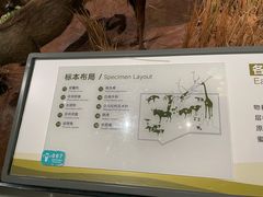 -陕西自然博物馆