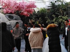 -滕头生态酒店(奉化店)