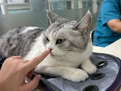 -宠颐生中康贝怡动物医院
