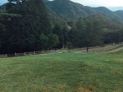 -神户市立六甲山牧场