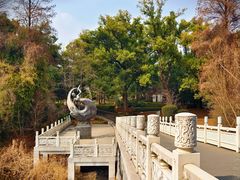 -东湖落雁景区