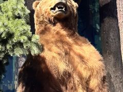 -陕西自然博物馆