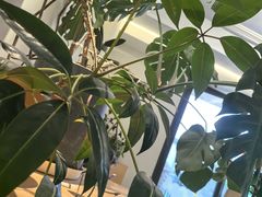 -fishtank鱼缸咖啡(三山街店)