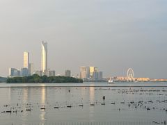 -金鸡湖景区