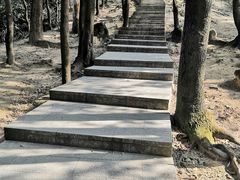 -火炉山森林公园