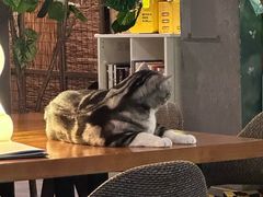 -咖法森林·咖啡  酒吧(天河店)