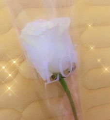 -1T·1M 日式美甲美睫