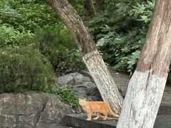 -云龙山