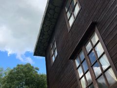 -金山农民画村-枫泾波兰倒置屋