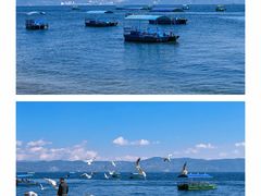 -抚仙湖禄充风景区