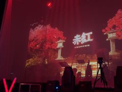 -赤红音乐现场(浦东金桥路店)