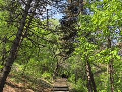 -帽儿山国家森林公园