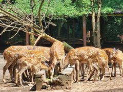 -海南热带野生动植物园