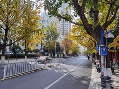 -云南古玩城(护国路店)