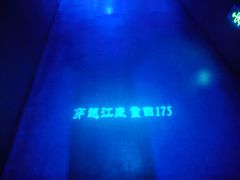 -白鹤梁水下博物馆