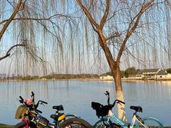 -东湖生态旅游风景区