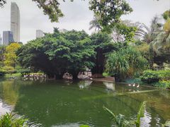 -九龙公园