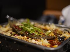 -峨嵋一派