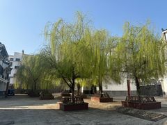 -后柳水乡