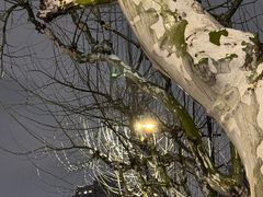 -土山湾博物馆