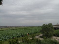 -处女泉风景名胜区