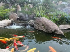 -罗红摄影艺术馆