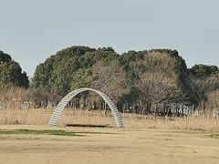 -莲花岛景区