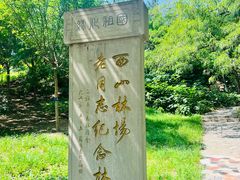 -北京西山国家森林公园