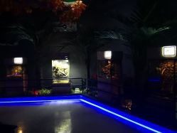 -未来动物城动物主题公园(大悦城店)