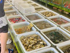 -红月湾海鲜饭店•沙滩海景(双月湾店)