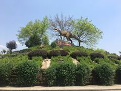 -自贡恐龙博物馆