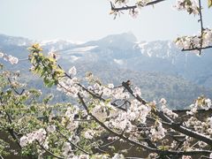 -萝卜寨羌文化生态旅游区