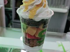 -Salud撒露欧洲冻酸奶(五道口购物中心店)