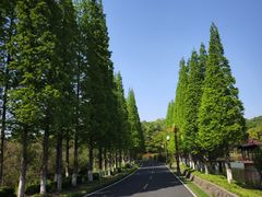 -宜兴龙背山森林公园