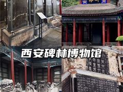 -陕西历史博物馆