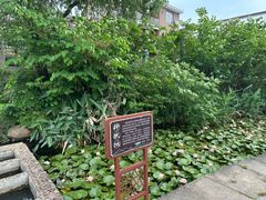 -东梓关景区村庄