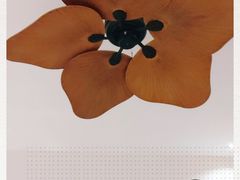 -三亚湾红树林度假世界(木棉酒店)