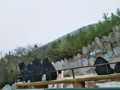 -东方熊牧场