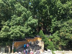 -普陀山风景名胜区-法雨禅寺