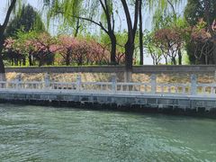 -皇家御河游(紫御湾码头)