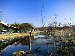 -西湖风景区-江洋畈生态公园