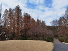 -上海滨江森林公园