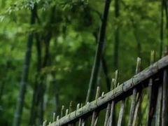 -杭州黄龙洞
