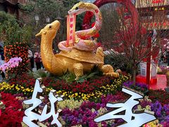 -越秀西湖花市(广州城市广场花卉店)