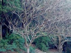 android_upload_pic-南沙天后宫景区