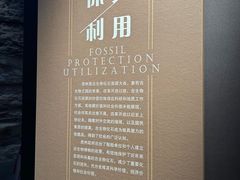 -贵州省地质博物馆