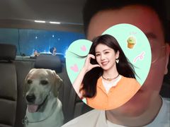 -汪说喵讲宠物乐园宠物酒店(红星美凯龙店)