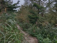 -北仑森林植物园