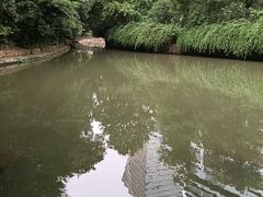 -顺兴老茶馆·精品川菜(世纪城店)